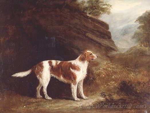 Standing Dog