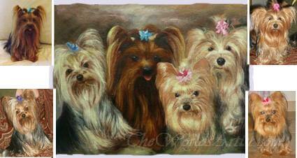 four dog photographs made into one custom pet oil portraiture